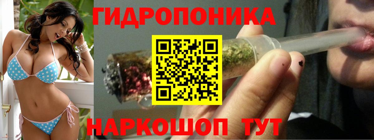 Канабис индика Надым
